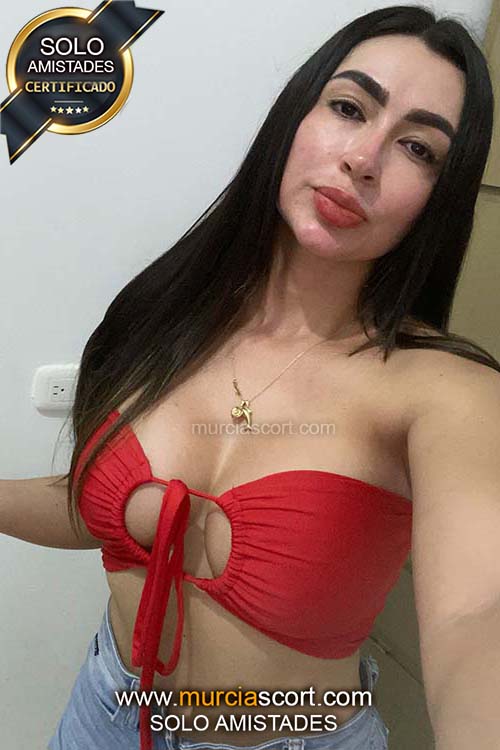 escort en Molina de Segura, acompañantes murcia, amigas murcia