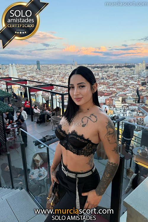 escorts murcia y acompañantes murcia - 631147113 - escort CRISTAN