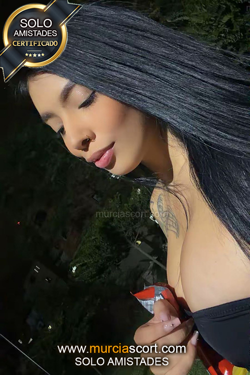 escorts murcia y putas en murcia no - MURCIASCORT - escort  